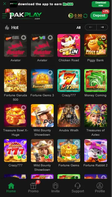 pakplay.com