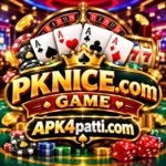 PKNICE.COM game